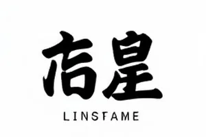 复盘会上的第九页封面：十一项待核信息清单文档